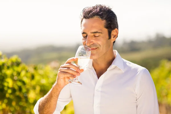 Male vintner smelling glass of wine — Stock Photo, Image