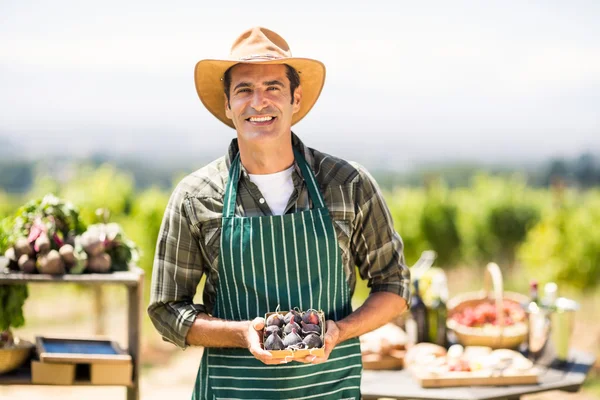 Granjero sonriente sosteniendo caja de higo — Foto de Stock