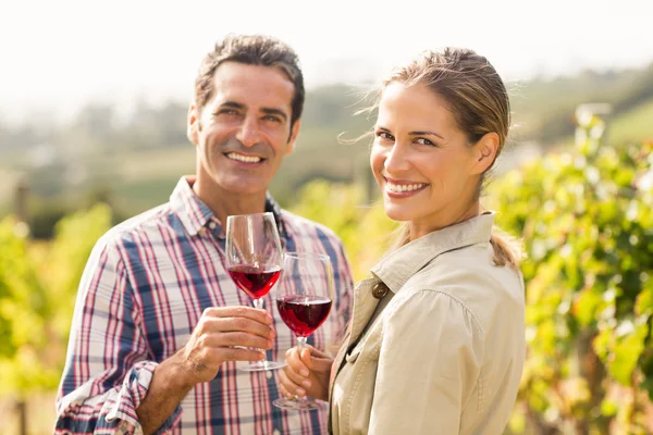 Casal feliz segurando copos de vinho — Fotografia de Stock