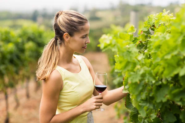 Kvinnliga vingårdsgård innehav vin glas — Stockfoto