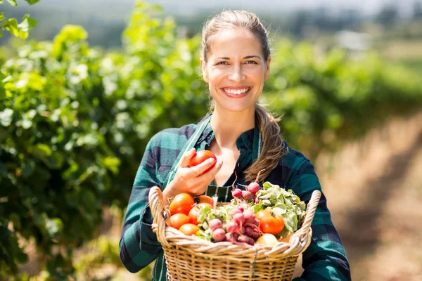 Agricultor fêmea segurando um cesto de legumes — Fotografia de Stock