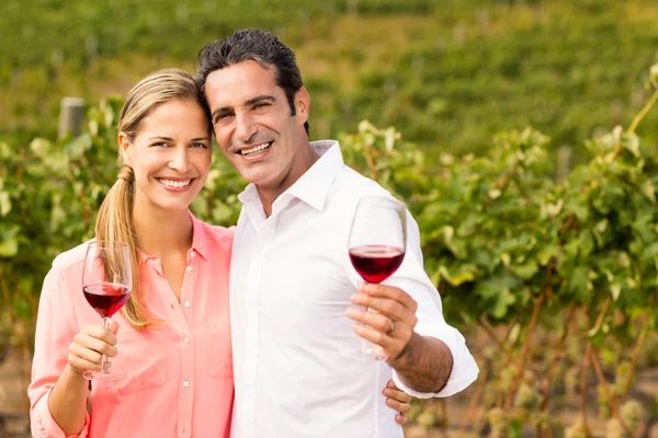 Par som håller glas vin — Stockfoto