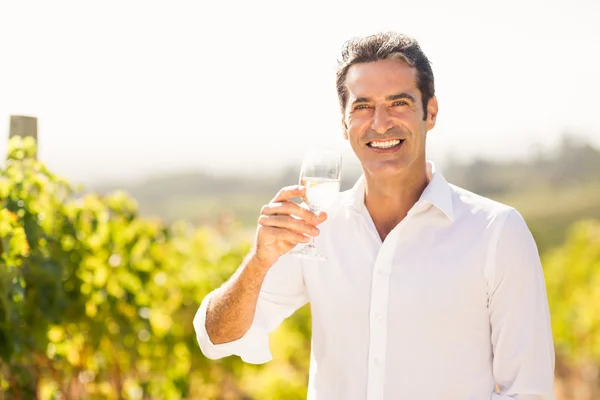 Vignaiolo maschio con in mano un bicchiere di vino — Foto Stock