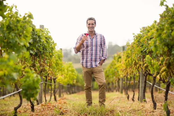 Uśmiechnięty mężczyzna winiarza trzyma kieliszek wina — Zdjęcie stockowe