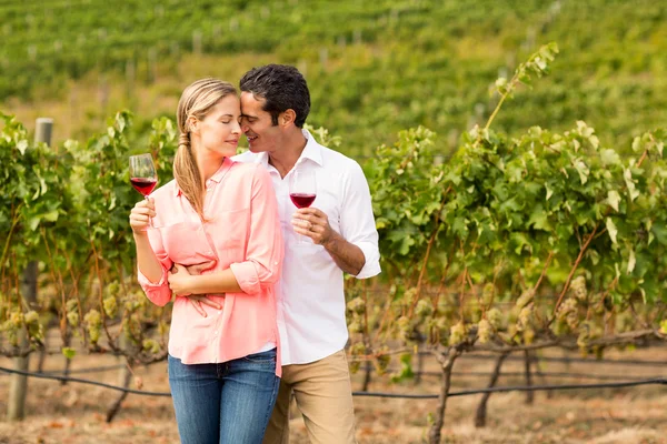 Szczęśliwa para trzymając kieliszków wina — Zdjęcie stockowe
