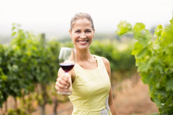 Kadın şarap tüccarı holding şarap cam — Stok fotoğraf