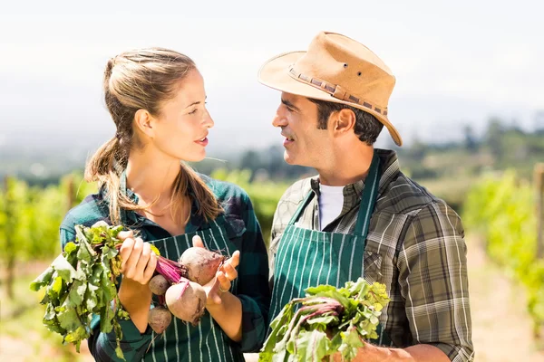 Agricultor casal exploração de vegetais folhosos — Fotografia de Stock