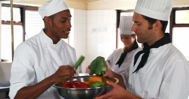 Jefe de cocina y su equipo de inspección de las verduras — Vídeo de stock