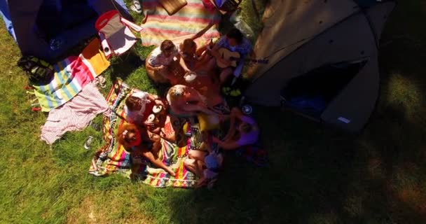 Friends having picnic in park — Stock Video