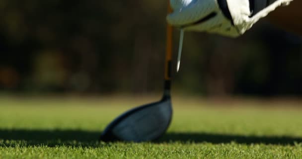 Гольфист ставит мяч для гольфа на тай — стоковое видео