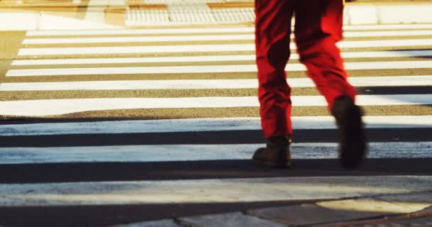 Pedestrian crossing the road — Stock Video