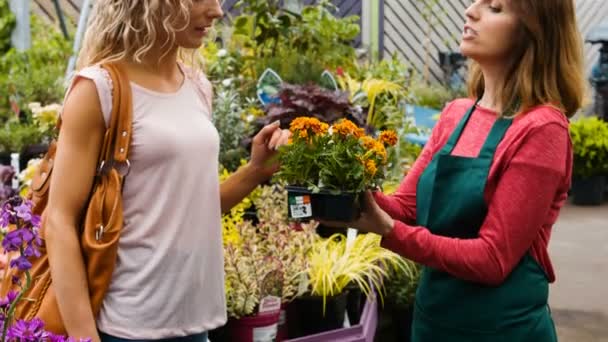 Florista feminino interagindo com um cliente — Vídeo de Stock