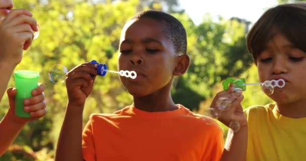 Enfants soufflant des bulles dans le parc — Video