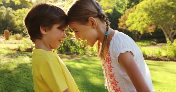 Niños divirtiéndose en el parque — Vídeo de stock