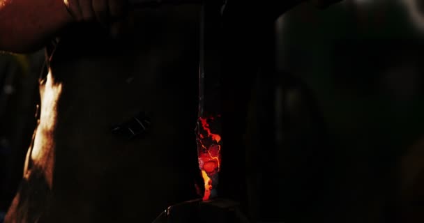 Mid-section of blacksmith holding forged iron rod — Stock Video