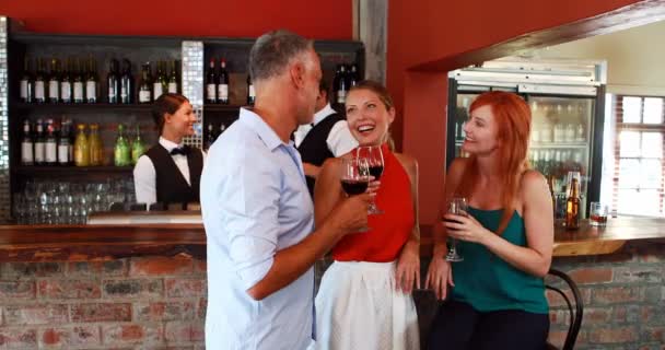 Друзі з келихом для вина розмовляють один з одним — стокове відео