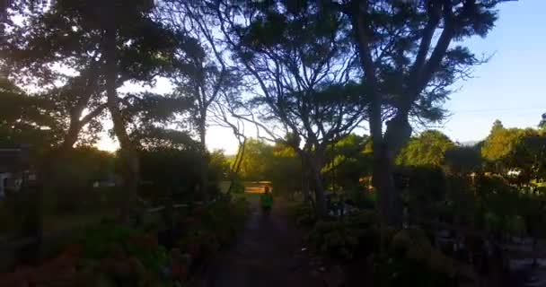 Homem correndo no parque — Vídeo de Stock