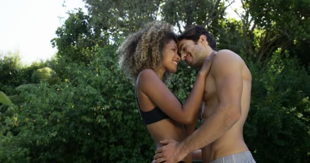 Romantik Çift birbirlerine kucaklayan — Stok video