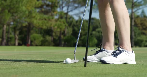 Golfer beim Golfspielen — Stockvideo