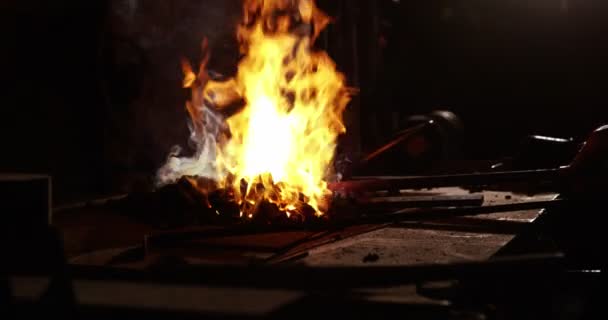 Hand of blacksmith heating iron rod in fire — Stock Video