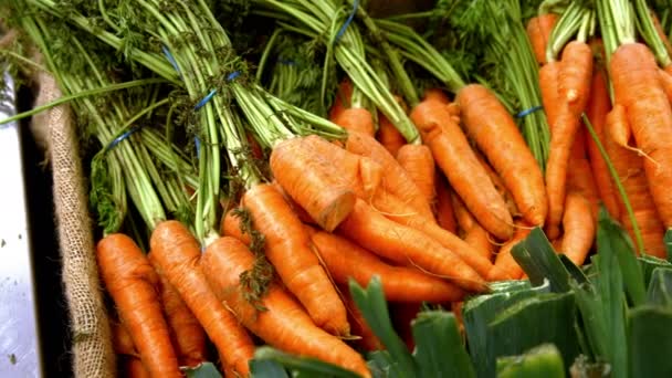Овощи в органическом разделе супермаркета — стоковое видео