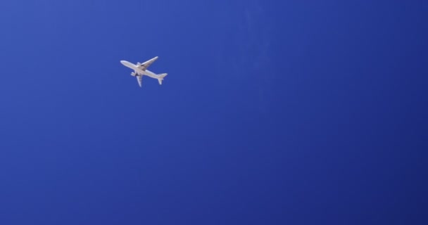 Airplane flying in clear sky — ストック動画