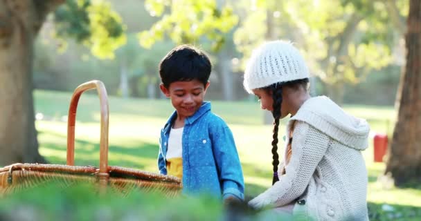 Jongen en meisje op gras met picknickmand — Stockvideo