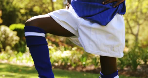 Sorrindo menina posando com futebol no parque — Vídeo de Stock