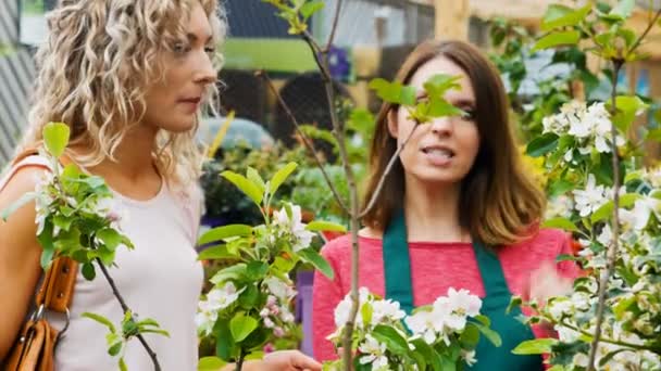 Vrouwelijke bloemist interactie met een klant — Stockvideo