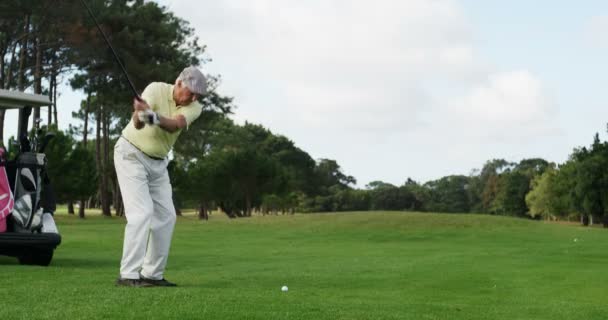 Golfer beim Golfspielen — Stockvideo