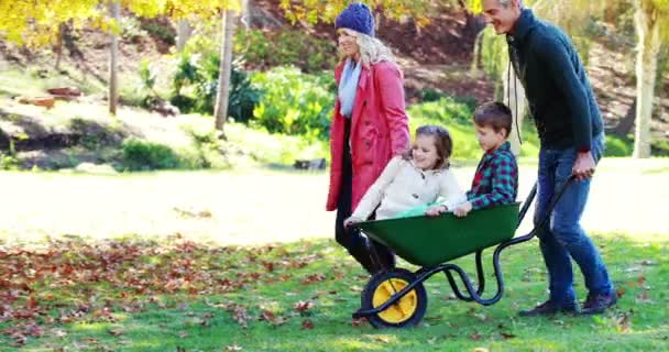 Parents carrying son and daughter in wheelbarrow — Stock video