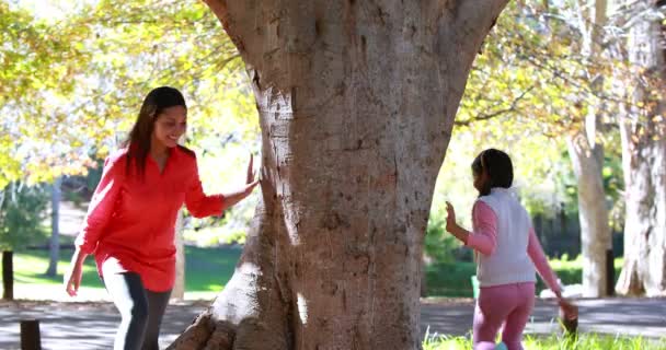 Мать и дочь играют в парке — стоковое видео