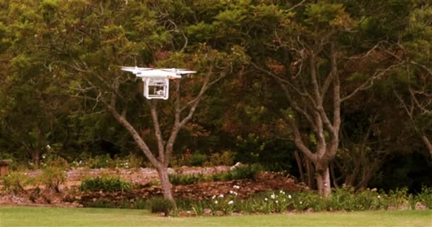 Drone voando no parque — Vídeo de Stock
