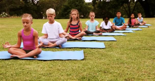 Kinderen presteren yoga in park — Stockvideo
