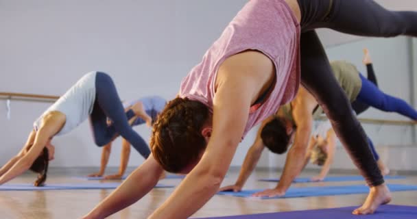 Grupp av människor som utför yoga — Stockvideo