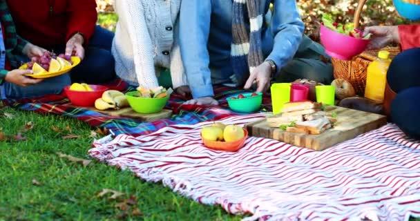 Aile parkta piknik yapıyor. — Stok video