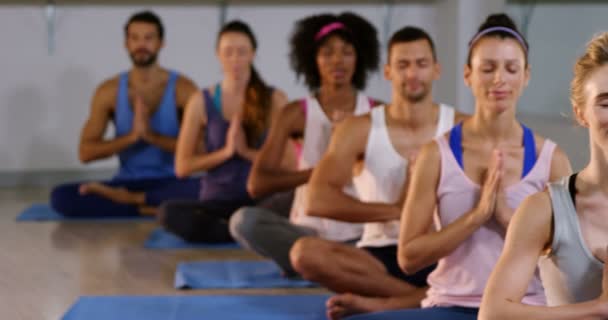 Gruppe von Menschen, die Yoga durchführen — Stockvideo