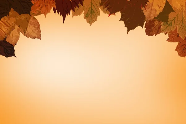 Autumn leaves pattern — Stock Photo, Image