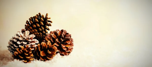 Pine cone decoration on fake snow — Stock Photo, Image
