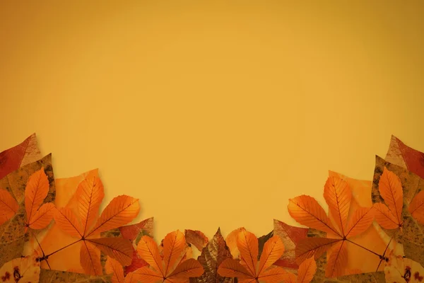 Autumn leaves pattern — Stock Photo, Image