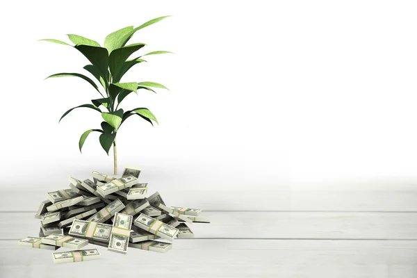 Rostlina roste z hromady peněz — Stock fotografie