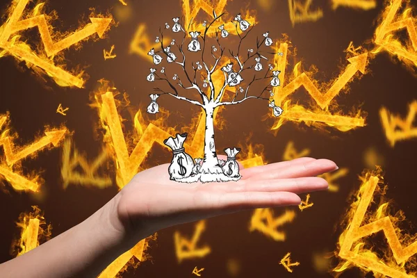 Hand met geldboom — Stockfoto