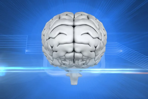 Digital image of brain — Stock Photo, Image