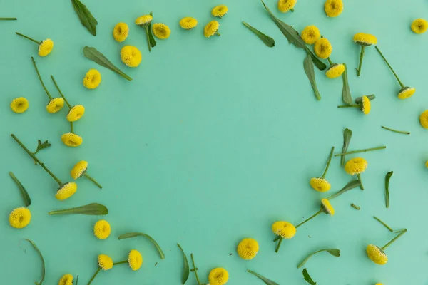 Liczne Żółte Kwiaty Liście Tworzące Okrąg Zielonym Tle Kwiat Wiosna — Zdjęcie stockowe