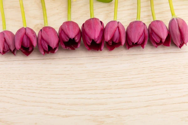 Pink Tulips Row Top Wooden Background Celebration Romance Flower Spring — Stock Photo, Image