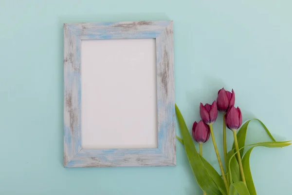 Rustic Wooden Frame White Background Pink Tulips Blue Flower Spring — Stock Photo, Image