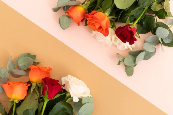 Roses Blanches Rouges Orange Sur Fond Rose Orange Célébration Romance — Photo