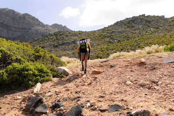 Afrika Kökenli Amerikalı Bir Kadın Dağ Yamacında Sırıklarla Yürüyor Sağlıklı — Stok fotoğraf