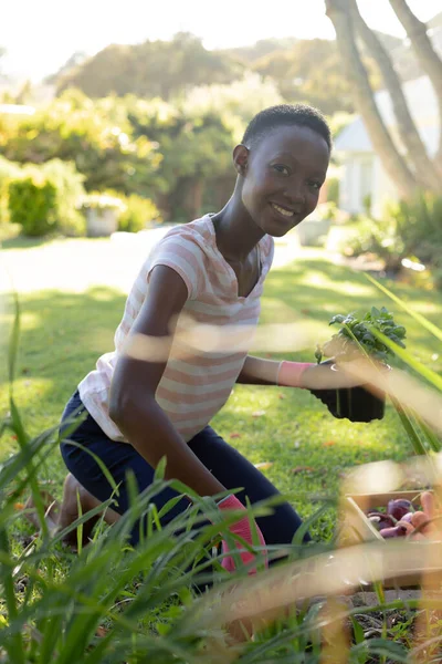 Retrato Mujer Afroamericana Jardinería Terraza Soleada Del Jardín Permanecer Casa —  Fotos de Stock