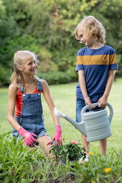 Glimlachende Blanke Broer Zus Tuinbesproeiing Planten Tuinieren Samen Thuis Geïsoleerd — Stockfoto